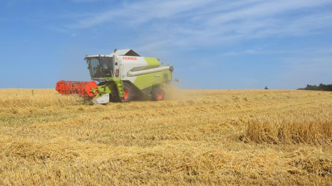 Landbouwgrond is goed voor 44,4 % van onze landsoppervlakte.