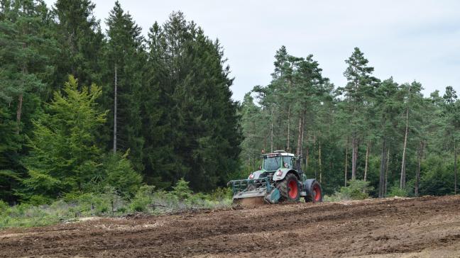 Sinds het begin van de legislatuur is er 1.127,8 ha bosuitbreiding gerealiseerd.