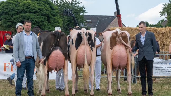 De titel van mooiste bedrijfslot ging naar Ryckewaert.