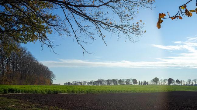 Volgens FedNot zit de gemiddelde prijs van een Vlaamse landbouwgrond in de lift, de percelen zijn minder groot dan in 2022.