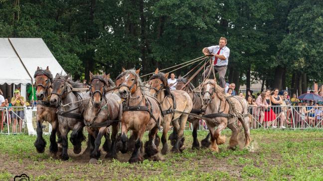 Een huzarenstuk tijdens de optredens is de Hongaarse post van Koen De Brabander.