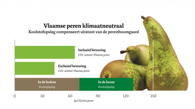 Wetenschappelijk onderzoek toont volgens Boerenbond aan dat de Vlaamse perenteelt klimaatneutraal is.