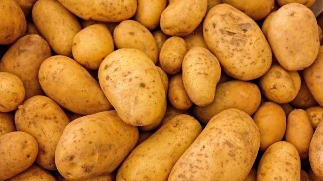 De Belgapomprijs voor vroege aardappelen wijzigde deze week niet.