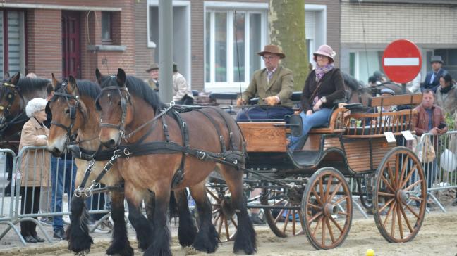 Marleen en Eric aan het werk tijdens een behendigheidswedstrijd voor trekpaarden op Jaarmarkt Vilvoorde 2023.