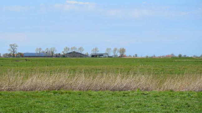 Voor de landbouwer kon geen hulp meer baten.