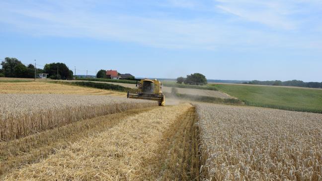 Bulgarije gaat het importverbod op Oekraïens graan niet verlengen na 15 september.