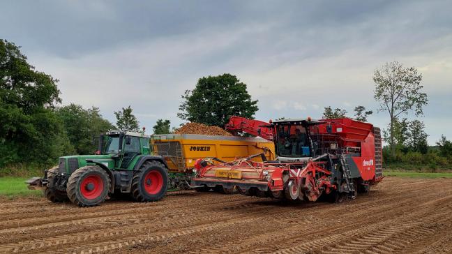 NEPG vindt de huidige aardappelnoteringen niet correct richting landbouwer.