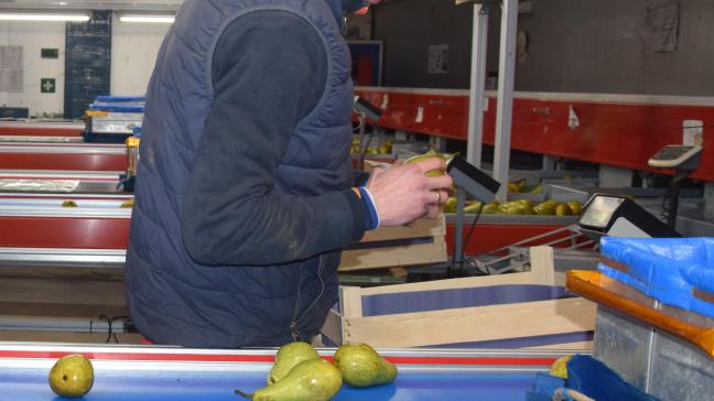 Boerenbond vindt dat er positieve maatregelen getroffen worden voor de tewerkstelling in land- en tuinbouw.