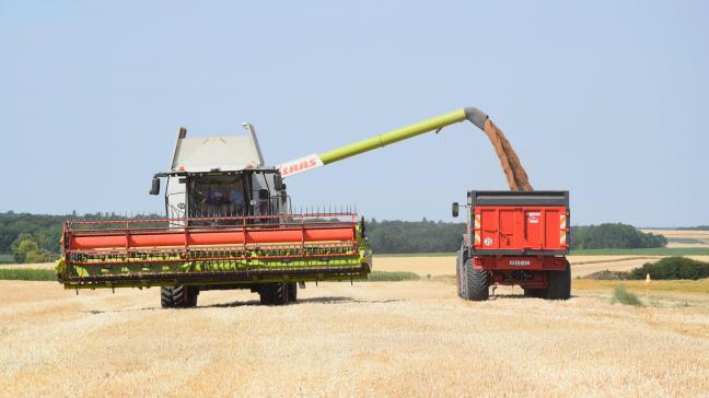 De Vlaamse voedselstrategie Go4Food is opgebouwd rond 4 pijlers: gezonde en duurzame voeding voor iedereen, voedselsysteem binnen ecologische grenzen, voluit voor een veerkrachtige voedseleconomie en verbinding van boer tot burger.