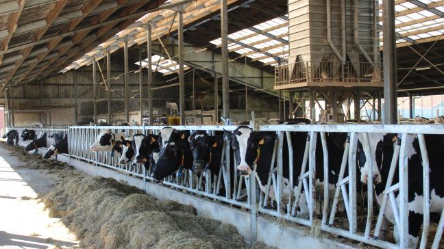 Vlaams minister van Landbouw Jo Brouns heeft voor dit jaar 60.000 euro vrijgemaakt om de basismodule van Klimrek voor melkveehouders verder vorm te geven.