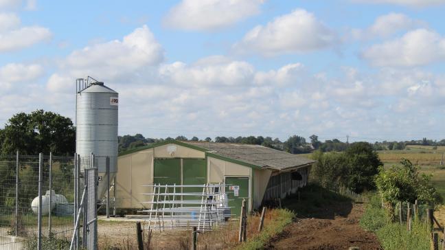 “Er bestaat geen lineaire relatie tussen de grootte van de stallen en de overlast voor de omgeving. Soms hebben grotere stallen luchtwassers waardoor die minder overlast veroorzaken dan een kleine stal die minder technieken toepast”, stelt Bart Dochy.
