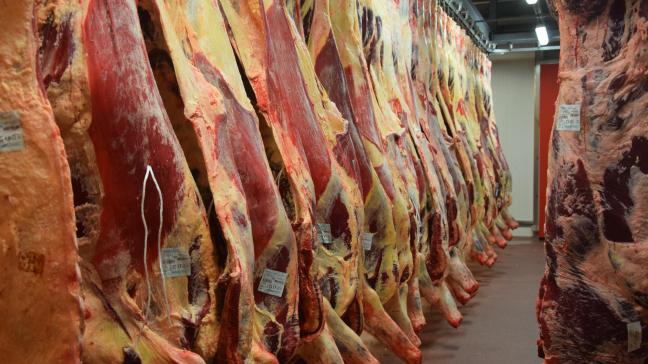 Momenteel wordt er geen rundsvlees naar China geëxporteerd, dus heeft hun verbod ook geen impact.