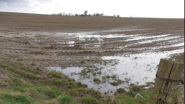 Om water- en modderoverlast te voorkomen, heeft de gemeente Steenokkerzeel nu een erosiebestrijdingsplan.