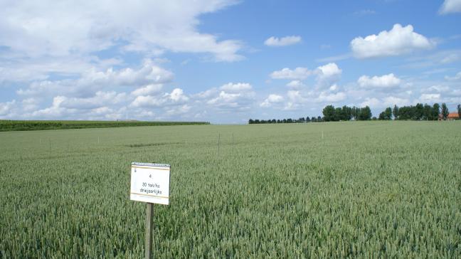 In Boutersem ligt al 27 jaar op dezelfde locatie een compostproef aan.