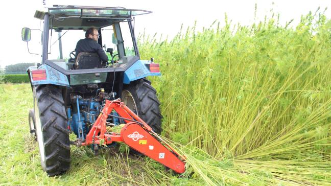 Nederland trekt 200 miljoen euro uit om het grootschalige gebruik van biobased bouwmaterialen te stimuleren. Dit geeft boeren perspectief op een duurzaam verdienmodel.