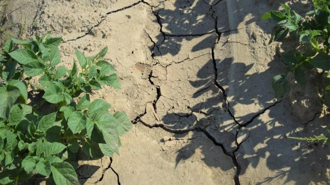 90% van alle ondervraagde boeren ondervond dat het weer de afgelopen jaren  is veranderd.