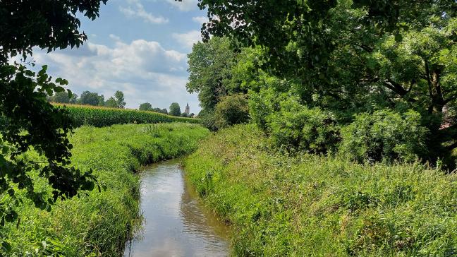 Vlaanderen heeft al 15.000 ha extra natuur gerealiseerd van de 20.000 die werden beloofd in het regeerakkoord.