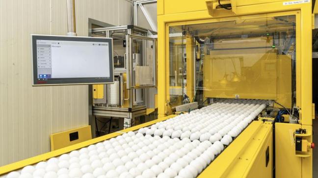 Het Nederlandse bedrijf In Ovo ontwikkelde een machine die in minder dan 1 seconde het geslacht kan bepalen van de embryo’s in bevruchte eieren.