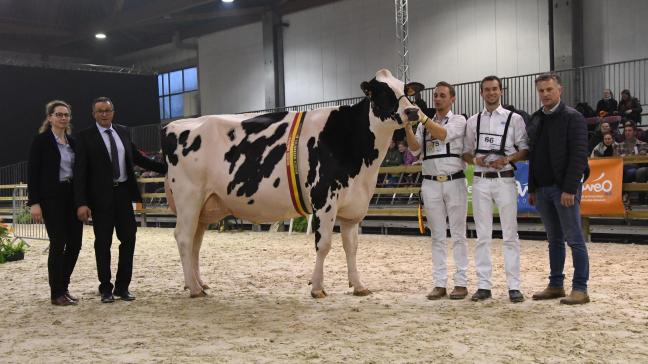 Algemeen Kampioene en kampioene volwassen koeien: Maxima de Bois Seigneur van de familie Pussemier, met links de jury.