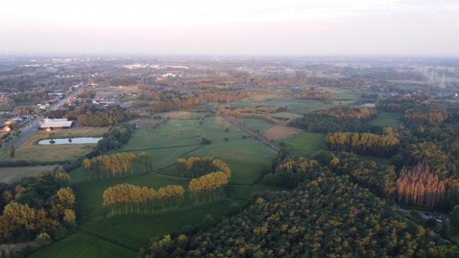 Tegen het einde van de aflopende legislatuur gaat Vlaanderen richting 2.000 ha nieuw bos.