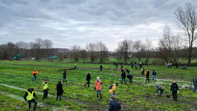 Met de aanplant op de Onderzoekskouter in Merelbeke realiseert ILVO een ontbrekende ecologische verbinding tussen 2 nabijgelegen natuurgebieden en draagt het bij aan de bebossingsambities van de Vlaamse regering.
