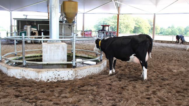 Bij innovaties voor de veehouderij is het niet alleen van belang dat het technisch effectief is en werkt in de praktijk, het moet ook kunnen renderen, juridisch houdbaar zijn en voldoen aan maatschappelijke eisen voor de leefomgeving en dierenwelzijn.