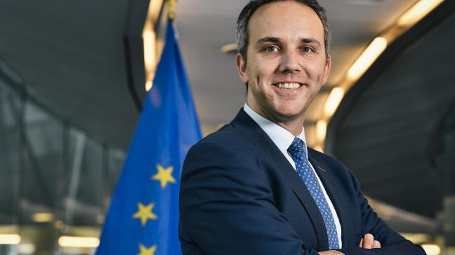 Tijdens zijn tweede Europese mandaat zetelde Vandenkendelaere voor de EVP-fractie in onder meer de commissies Landbouw en Visserij.