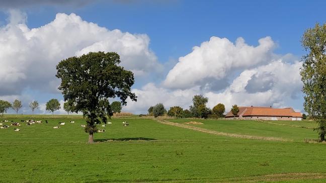 Álle landbouwers die een onroerend goed pachten of huren, worden verplicht om een extra bijlage bij hun belastingaangifte te voegen.  Dit zal een enorme werklast betekenen.