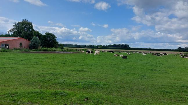 Een tiental omwonenden van intensieve veehouderijen in de Antwerpse Kempen dagvaarden samen met milieuvereniging Dryade de Vlaamse overheid over het ‘falend geurbeleid’ in Vlaanderen.