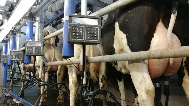 Op basis van één methode die een aantal goed gekozen, makkelijk meetbare verklikkercomponenten in melk analyseert, kunnen veehouders eenvoudig en snel de metabole gezondheid van koeien opvolgen.