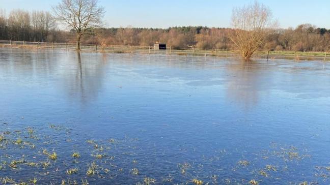 Marcels huiskavel staat ondertussen al bijna 3 maanden onder water. Het blijvende grasland en het ingezaaide raaigras na de maïs, zijn verloren.