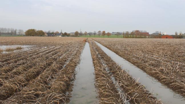 Verschillende leden van de commissie Landbouw stellen vast dat de Vlaamse landbouwers niet staan te springen voor de brede weersverzekering.