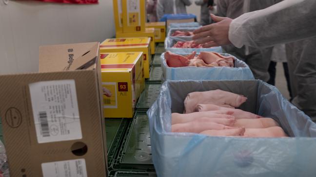 Varkensvlees wordt klaargemaakt voor bestemming China.
