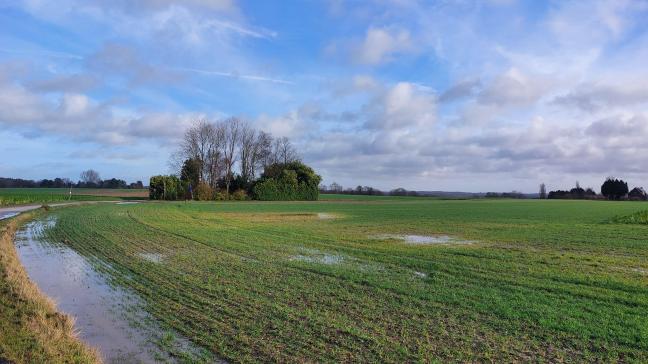 De maand januari 2024 is de warmste ooit gemeten.