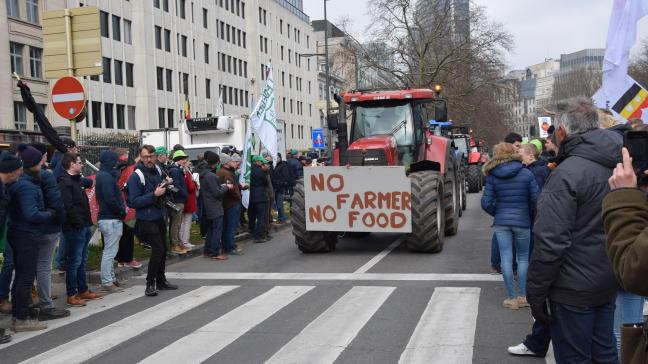 De boerenprotesten van de voorbije weken kunnen op sympathie rekenen van de Vlaming.