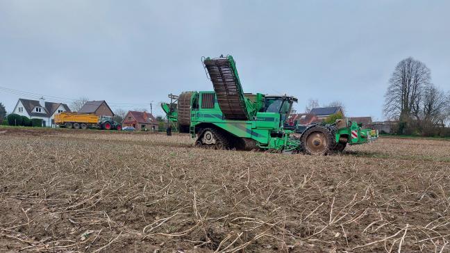 Het rooien van de aardappelen van 2023 liep zeer lang door.