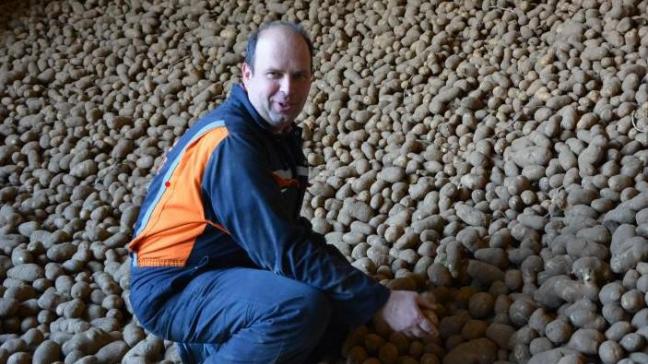 We mogen als teler niet te hard van stapel lopen , meent Jean-Pierre Van Puymbrouck.  Bovendien zijn we voor ons areaal aardappelen afhankelijk van het beschikbare pootgoed.”