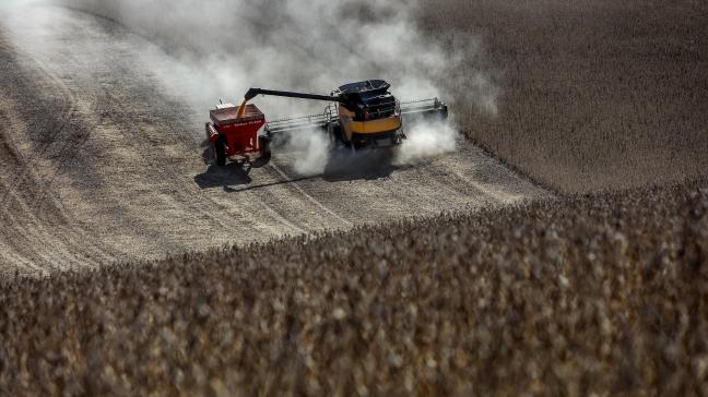 Dankzij de goede oogst in Argentinië bereikt de Zuid-Amerikaanse sojaproductie een record.