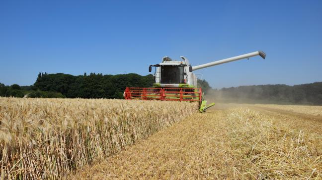 De Europese Commissie heeft een voorstel klaar om de invoertarieven voor graan, oliezaden en afgeleide producten uit Rusland en Wit-Rusland te verhogen.