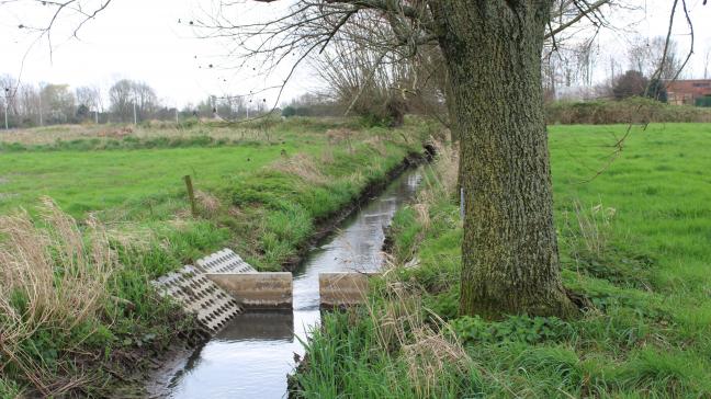 De Kasteelbeek is een mooi voorbeeld van een waterloop waar de kwaliteit nog niet goed is.