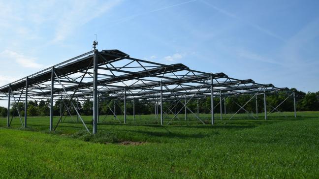 Specifiek voor gewassen moet in Frankrijk de opbrengst die gerealiseerd wordt onder de zonnepanelen minstens 90% bedragen van gelijkaardige percelen zonder zonnepanelen.
