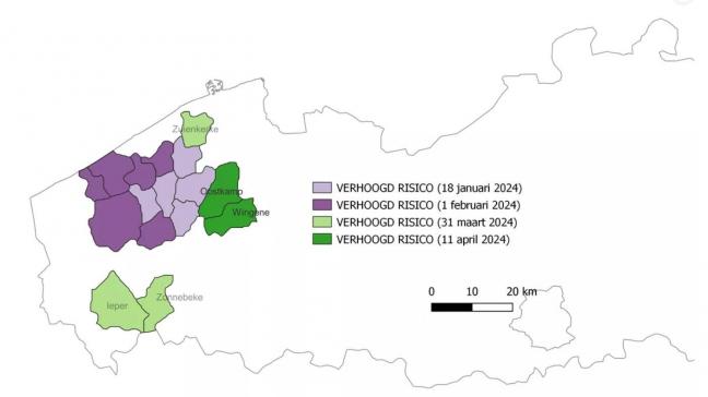 In de week van 8 april werden in West-Vlaanderen een nieuwe haard van infectieuze boviene rhinotracheïtis (IBR) en een geval van beperkte IBR-insleep gedetecteerd.