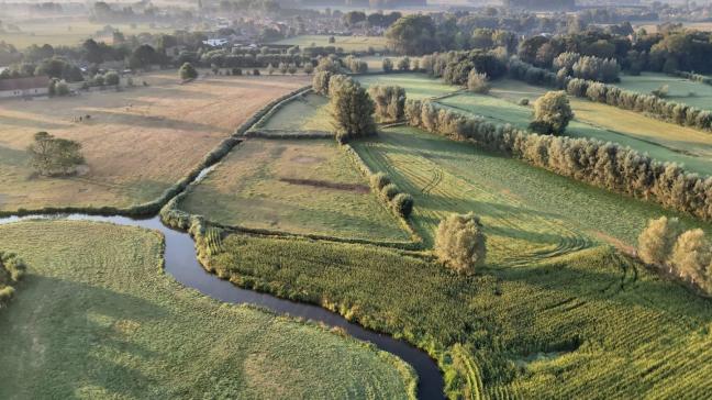 Uit een gelekte nota van de Europese Raadblijkt dat regeringsleiders alle aandacht voor de biodiversiteit- en klimaatcrisis overboord willen gooien. Dat zou een ontmanteling van de Europese Green Deal betekenen.