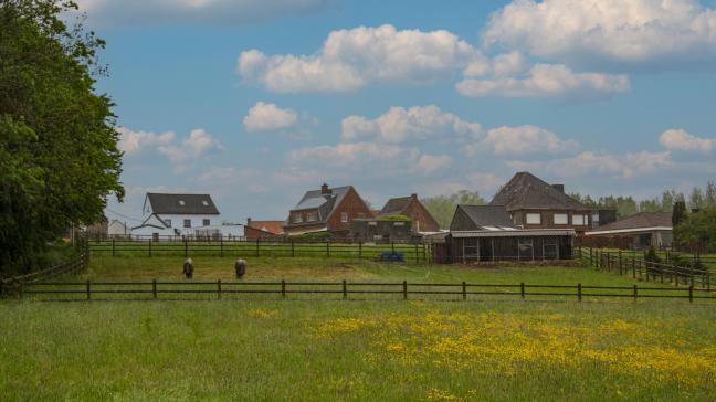 Een veel voorkomend beeld in Vlaanderen: een deel van de grond die bij een woning hoort, wordt ingenomen door paarden.