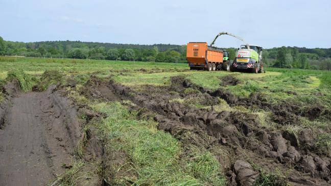 Volgens Boerenbond legt de uitzonderlijke regenval opnieuw de problematiek van kalenderlandbouwbloot.