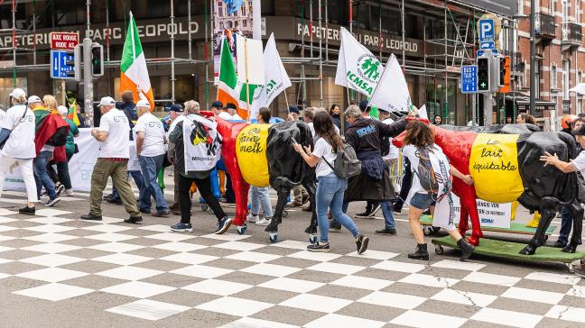 Het protest van de European Milk Board in Brussel was met plastic koeien in plaats van tractoren.