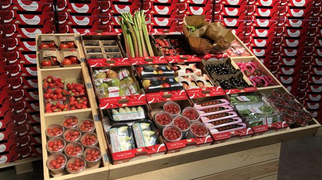 Vandaag de dag maken groenten ongeveer 60% uit van de omzet van BelOrta.