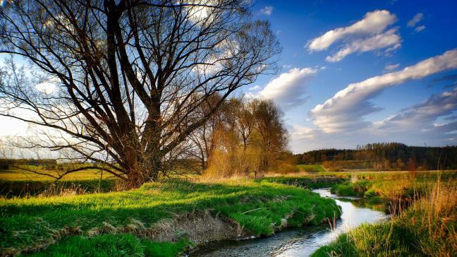 Meer dan 70 bedrijven en bedrijfsverenigingen roepen de Europese lidstaten en het Belgisch voorzitterschap van de Raad op om alsnog voor de Natuurherstelwet te stemmen.