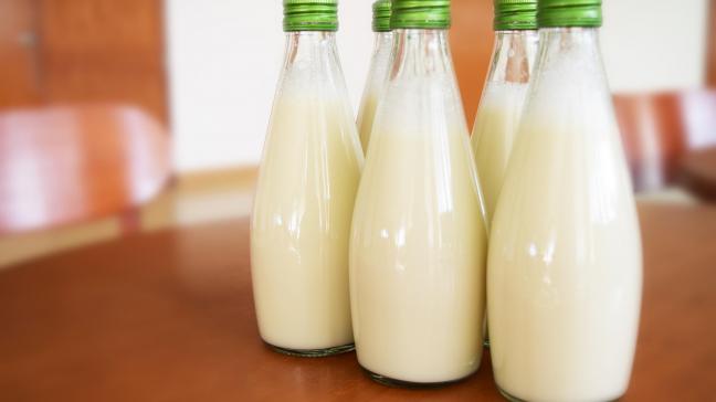 De Belgische zuivelsector doet steeds meer inspanningen inzake duurzaamheid. Dat blijkt uit het jaarverslag van MilkBE.