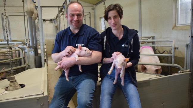 Dieter Vanluchene en Laura Ryckewaert zijn tevreden over de omschakeling naar hybride zeugen.